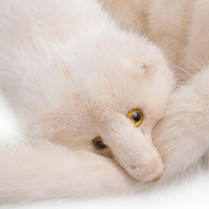 Mink fur scarf fashion Women Whole mink fur shawl winter warm tippet neck wrap - White