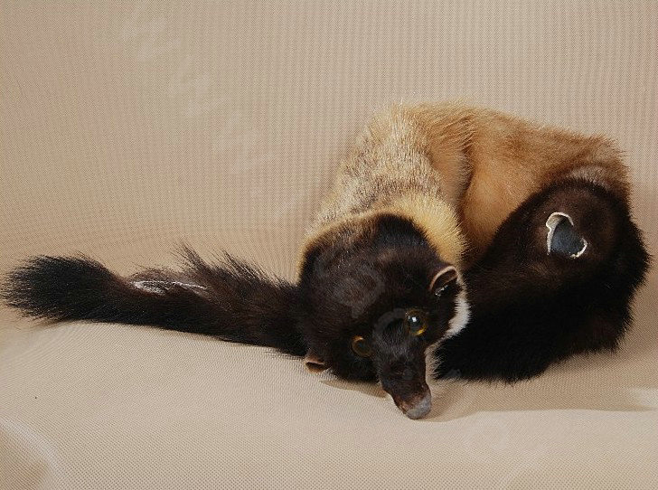 Mink fur scarf fashion Women Whole mink fur shawl winter warm tippet neck wrap - Yellow brown