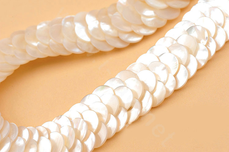Luxury Fashion Women Exaggeration Choker Natural Shell Slice Bib Necklace Jewelry - White