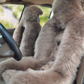 Universal KQ04 Australia Genuine Sheepskin Car Seat Cover Sheep Wool Auto Cushion 4pcs Sets - Bean Paste