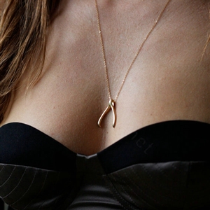 Hot sale High quality Fashion Women Metal Wish bone Gold-plated Necklace Clavicle Chain