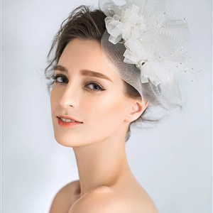 European Princess Pearl Crystal Gauze Bridal Fascinator Hair Accessories Wedding Dress Prom Large Hat Face Veils