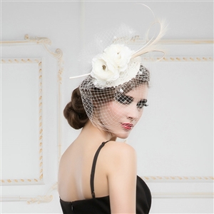 Luxury European White Birdcage Bridal Flower Feathers Fascinator Hair Hoop Bride Wedding Prom Hats Face Veils