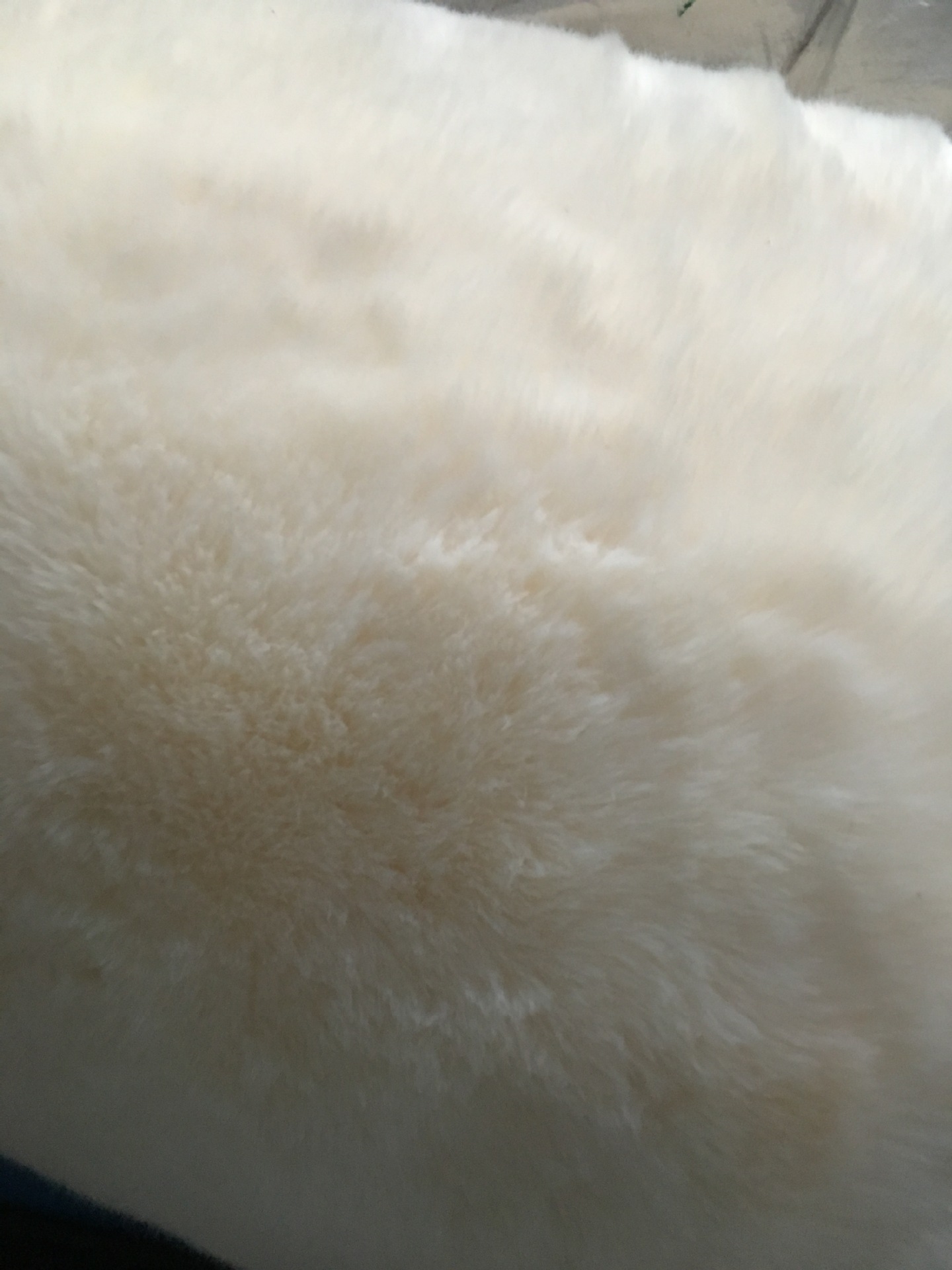 Wholesale Furry Faux Fox Fur Vest Fashion Women Overcoat - Black