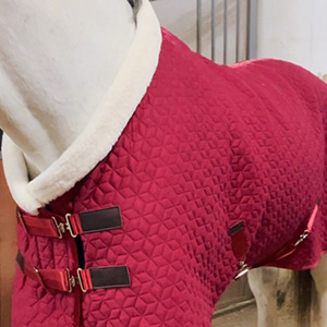 Adjustable Velvet Rug Horse Care Blanket Detachable Neck Cover Winter Keep Warm Equestrian Gear With Comfort Thickened - Red
