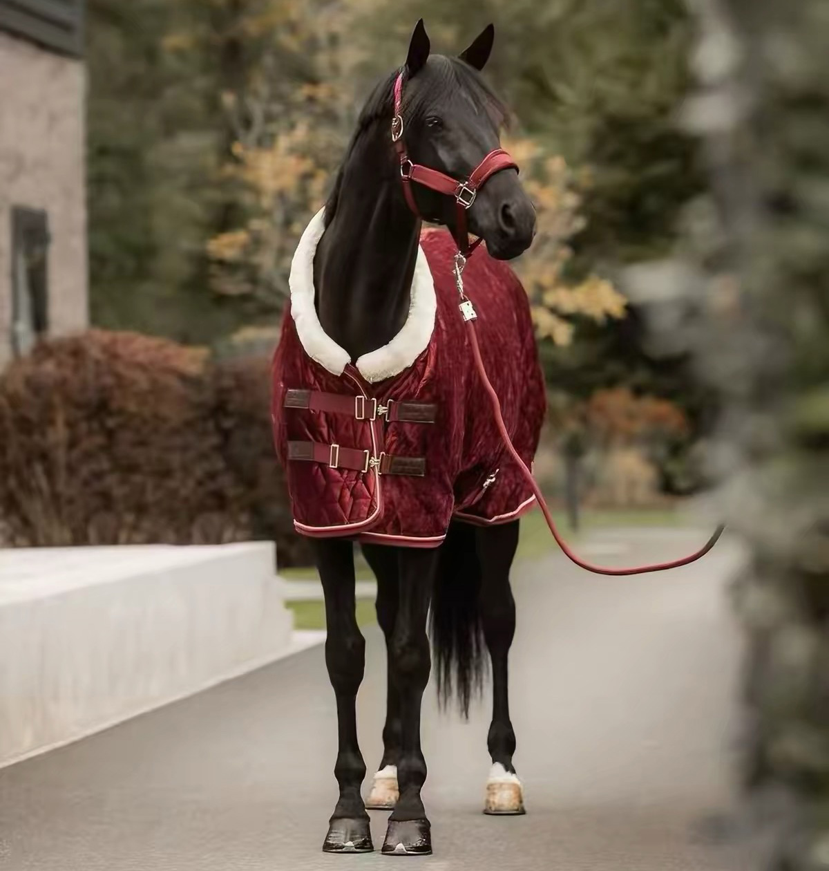Adjustable Velvet Rug Horse Care Blanket Detachable Neck Cover Winter Keep Warm Equestrian Gear With Comfort Thickened - Wine Red