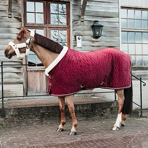 Adjustable Velvet Rug Horse Care Blanket Detachable Neck Cover Winter Keep Warm Equestrian Gear With Comfort Thickened - Wine Red