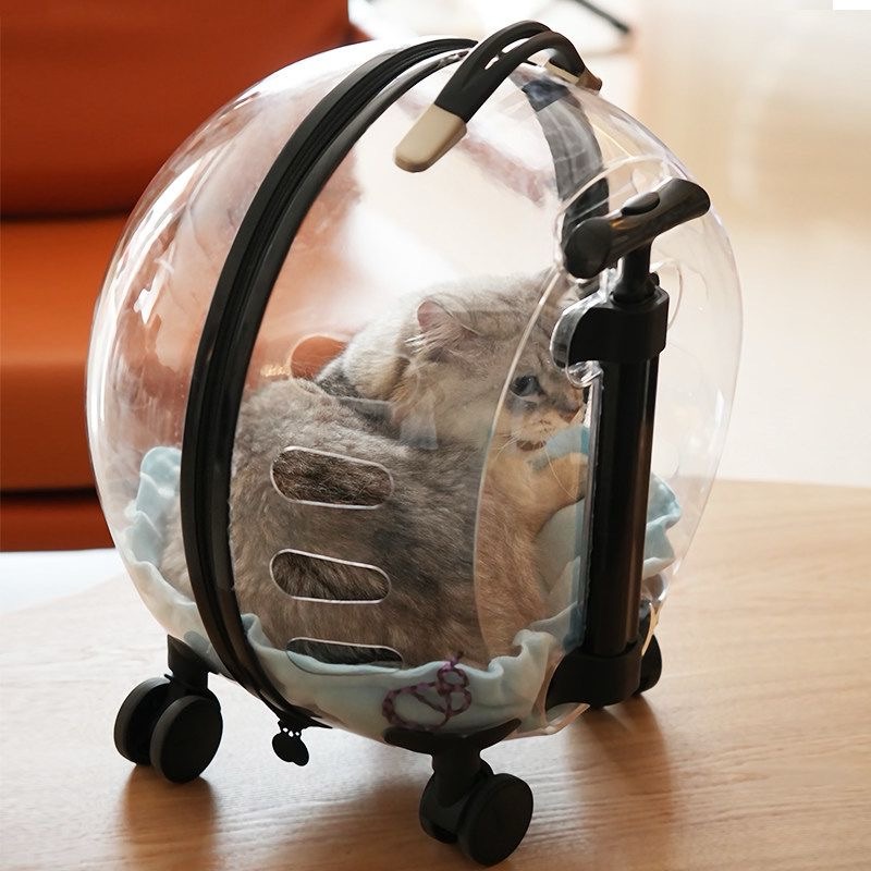 Classic Portable Pet Strollers With Wheels Durable Acrylic PC Closure For Cats Dogs Bags Ideal For Travel Outdoor Use - Black