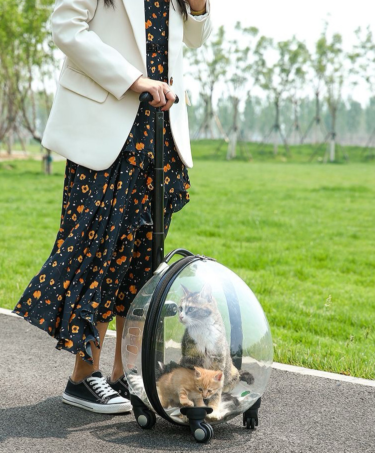 Classic Portable Pet Strollers With Wheels Durable Acrylic PC Closure For Cats Dogs Bags Ideal For Travel Outdoor Use - Black