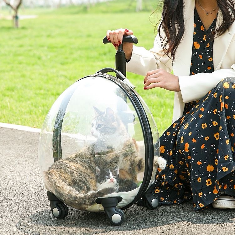 Classic Portable Pet Strollers With Wheels Durable Acrylic PC Closure For Cats Dogs Bags Ideal For Travel Outdoor Use - Black
