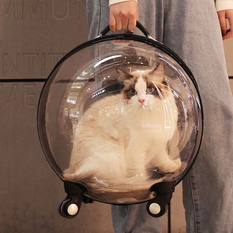 Classic Portable Pet Strollers With Wheels Durable Acrylic PC Closure For Cats Dogs Bags Ideal For Travel Outdoor Use - Black