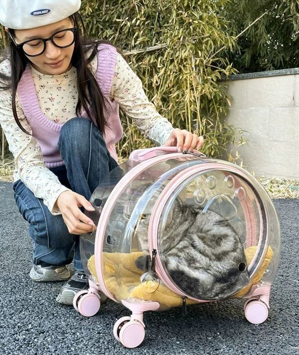 New Portable Pet Strollers With Wheels Durable Acrylic PC Closure For Cats Dogs Bags Ideal For Travel Outdoor Use - Black