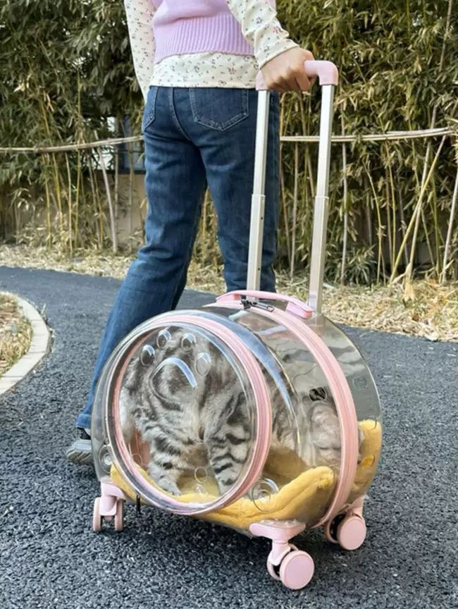 New Portable Pet Strollers With Wheels Durable Acrylic PC Closure For Cats Dogs Bags Ideal For Travel Outdoor Use - Black
