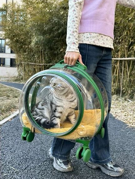 New Portable Pet Strollers With Wheels Durable Acrylic PC Closure For Cats Dogs Bags Ideal For Travel Outdoor Use - Black
