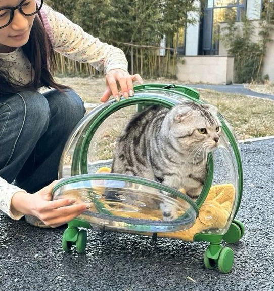 New Portable Pet Strollers With Wheels Durable Acrylic PC Closure For Cats Dogs Bags Ideal For Travel Outdoor Use - Black